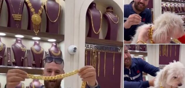 شاهد عراقية تثير الجدل بشراء سلسلة من الذهب لكلبها بسعر خيالي