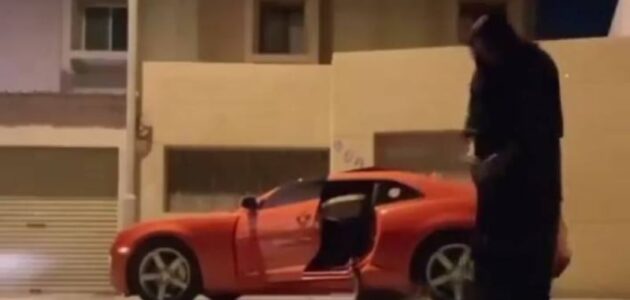 شاهد فتاة أرادت إطعام قطة بأحد الشوارع ولكنها تفاجأت بما لم يكن في الحسبان