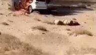 شاهد لحظة اشتعال النار في سيارة المواطنين السعودي والكويتي اللذين قتلا في صحراء الأنبار بالعراق
