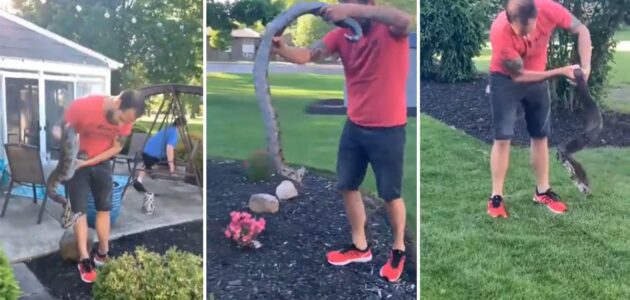 شاهد نهاية غير متوقعة لمروض أفاعي