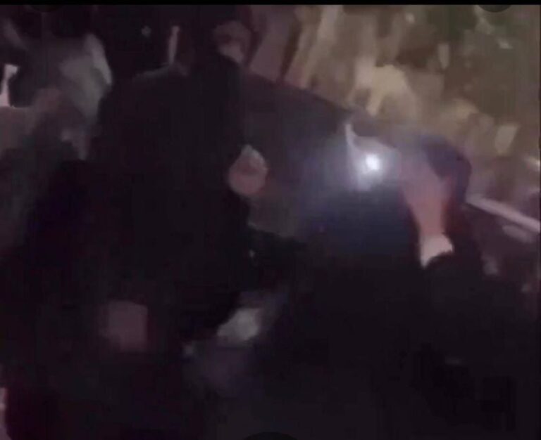 شرطة القصيم تباشر حادثة مشاجرة واعتداء على مسنة في مكان عام -فيديو