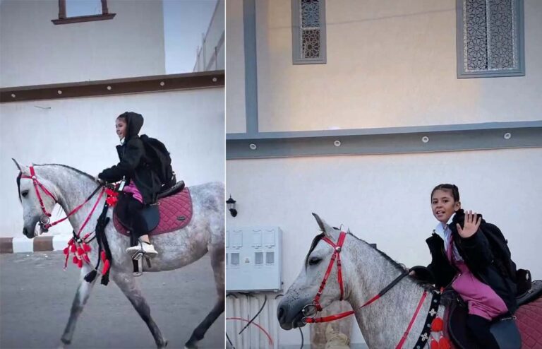 طفلة من محافظة الحناكية تذهب إلى مدرستها على الخيل