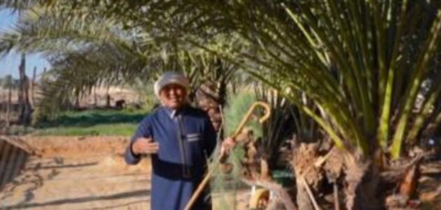 فيديو.. الزعاق يكشف كيف كان العرب القدماء يعرفون دخول مربعانية الشتاء باستخدام شجرة الأثل