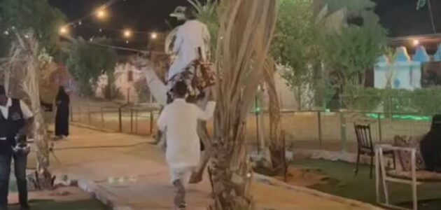 فيديو.. تسجيل لحظة انزلاق جمل وسقوط راكبه وإصابته في منتزه