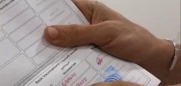 فيديو.. طبيب يحذر من انتشار طاعون القطط ويدعو إلى تطعيمات وقائية فورية