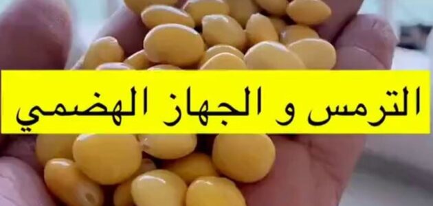 فيديو.. علي الحداد يكشف عن فوائد صحية لتناول الترمس بالقشر