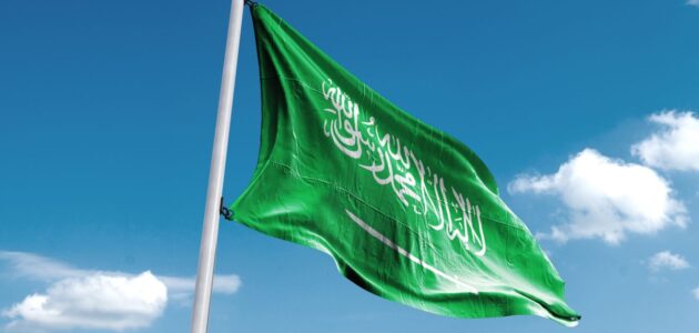 كم راتب المستشار في الديوان الملكي السعودي 2024