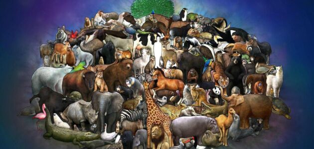 لماذا سميت الحيوانات الفقارية بهذا الاسم