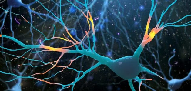 هل رسم العصب مؤلم – موسوعة