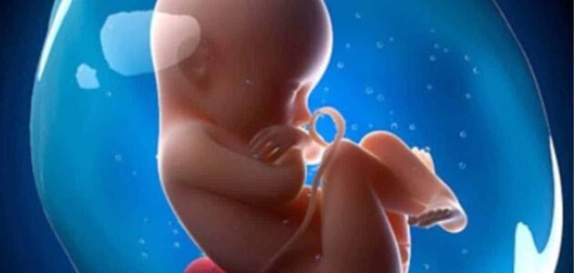 هل يختفي الماء في رأس الجنين