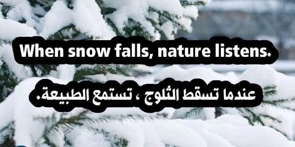 +100 عبارات عن الشتاء قصيرة بالانجليزي