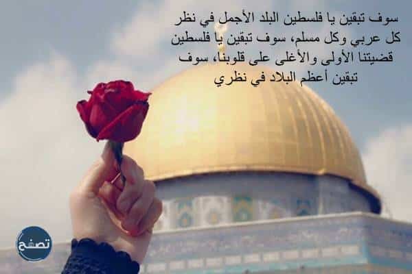 عبارات عن فلسطين