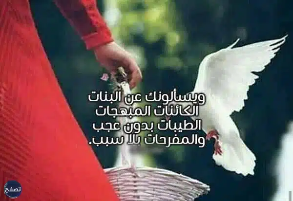 عبارات عن البنات المؤنسات