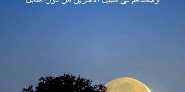 +50 من أجمل عبارات عن التطوع بالعربي والإنجليزي