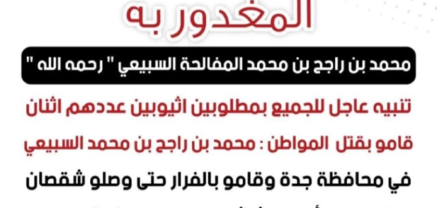 قصة المغدور محمد السبيعي الذي تعرض لحادث قتل مروعة.. تفاصيل القضية