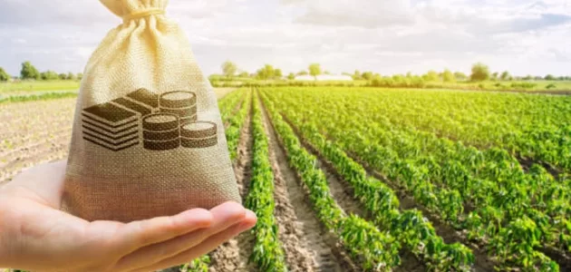 أفضل المشاريع الزراعية ربحا