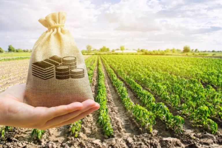 أفضل المشاريع الزراعية ربحا - موسوعة