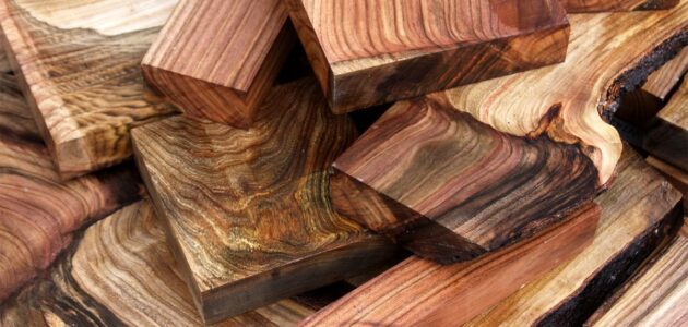 أنواع الخشب بالصور والاسماء