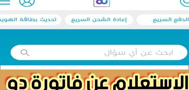 الاستعلام عن فاتورة دو وطريقة دفع فواتير دو الامارات 2024
