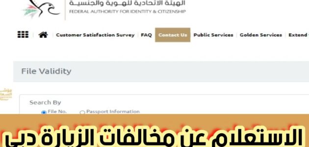 الاستعلام عن مخالفات الزيارة دبي وإجراءات دفه رسوم المخالفات خطوات سهلة 2024