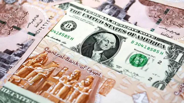 الجنيه المصري يواصل الهبوط أمام الدولار.. والسوق الموازية تسجل رقما غير مسبوق