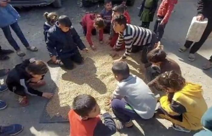 الجوع في غزة يدفع الأطفال إلى أعلاف الحيوانات