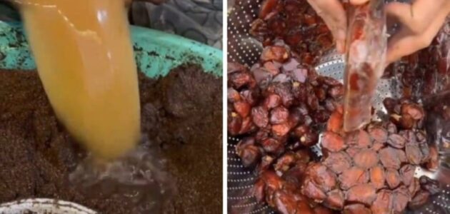 الكشف عن طريقة لتصنيع البخور باستخدام التمر