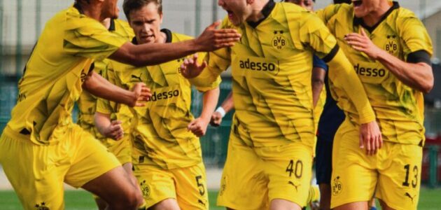 بث مباشر مباراة دورتموند ودارمشتات في الدوري الألماني