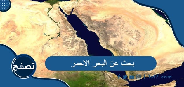 بحث عن البحر الاحمر جاهز للطباعة pdf وdoc