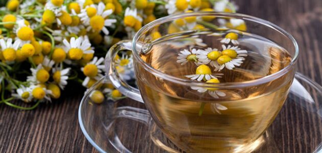 تجربتي مع شرب البابونج يوميا