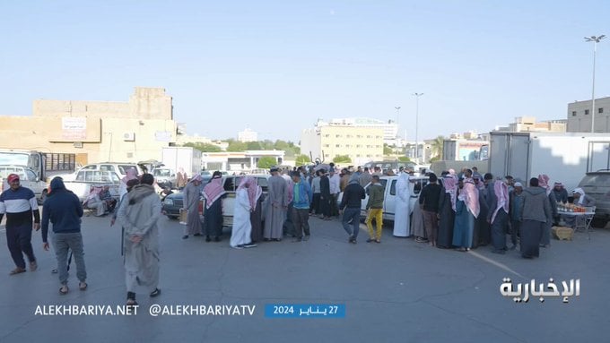 سوق الجراد الموسمي يشهد إقبالا في بريدة.. ومبيعات اليومية تسجل مفاجأة