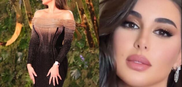 شاهد ردة فعل ياسمين صبري مع شاب حاول التقاط سيلفي معها في حفل Joy Awards 2024