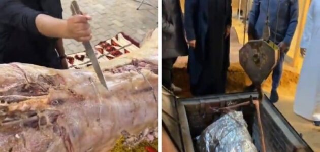 شاهد شباب سعوديون يطبخون عجل داخل حفرة مندي في مخيم