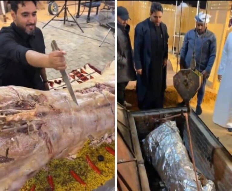 شاهد شباب سعوديون يطبخون عجل داخل حفرة مندي في مخيم