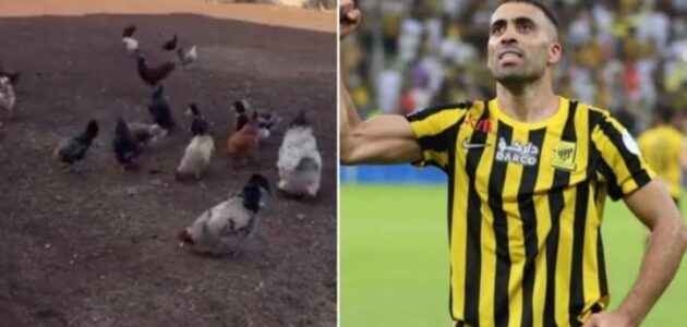 شاهد عبدالرزاق حمدالله يستمتع بوقته داخل مزرعته الخاصة بالمغرب