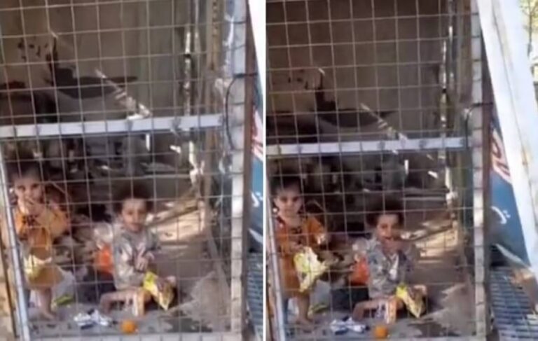 شاهد فيديو صادم لـ أم تحبس طفليها داخل قفص في حديقة وتشعل مواقع التواصل في العراق