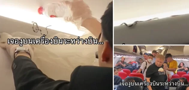 شاهد لحظة خروج ثعبان من وسط صندوق أمتعة ركاب داخل طائرة
