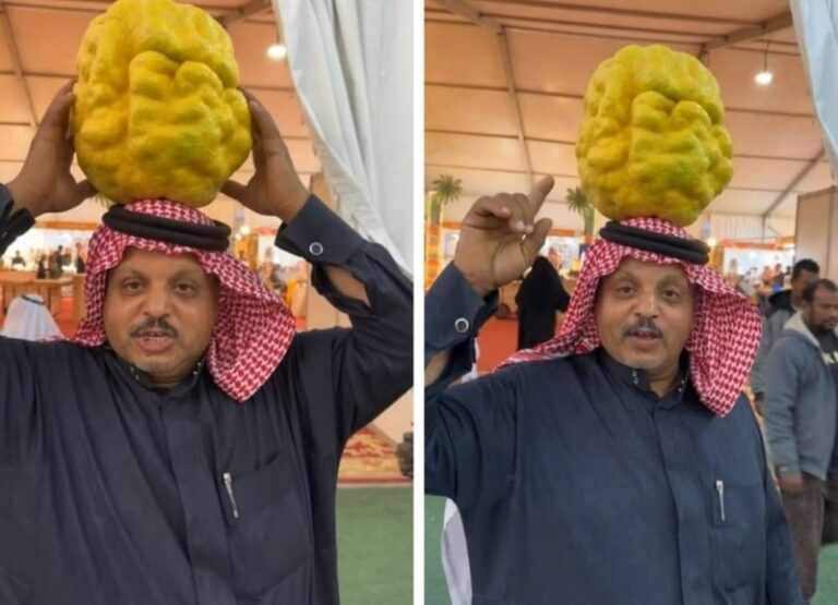 شاهد مواطن يحمل أكبر ترنجة على رأسه في مهرجان حمضيات الحريق