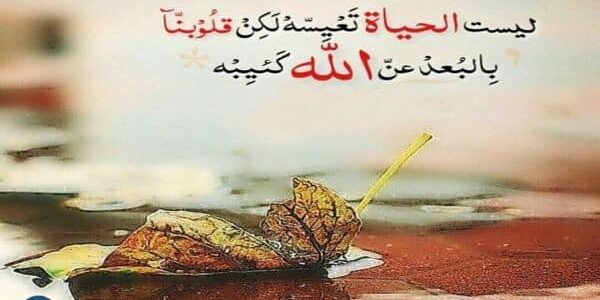 عبارات جميلة وفخمة عن الحياة 2023