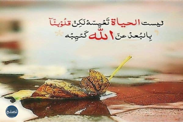 عبارات فخمة عن الحياة