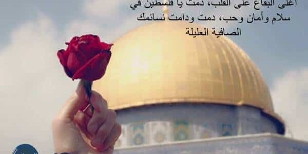 عبارات عن فلسطين مؤثرة بالإنجليزي والعربي
