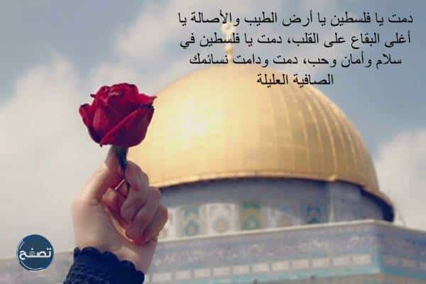 عبارات عن فلسطين