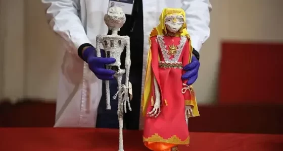 علماء آثار يفجرون مفاجأة بشأن هياكل الكائنات الفضائية المضبوطة داخل شحنة في البيرو