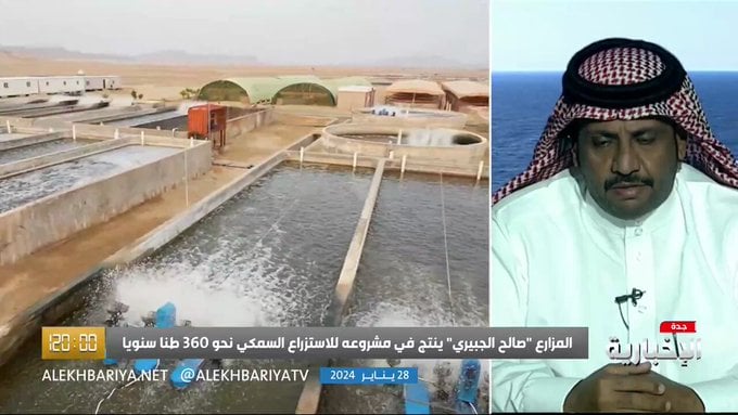 فيديو.. صاحب مزرعة أسماك يكشف عن هامش الربح في مشاريع الاستزراع
