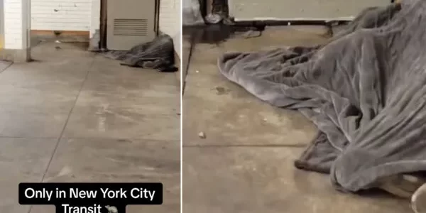 فيديو صادم يكشف ما خرج من تحت بطانية مشرد نائم بمترو نيويورك