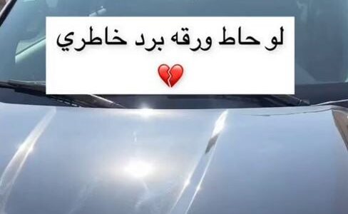 فيديو متداول.. شخص يستفز جاره ويركن سيارته بطريقة غريبة