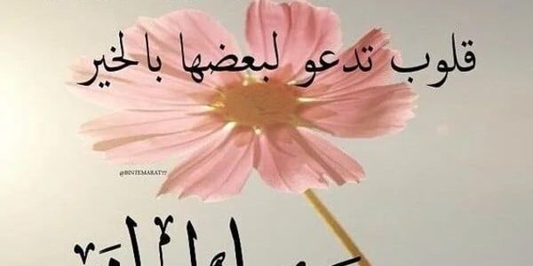 كلام جميل عن المساء واجمل العبارات والخواطر والكلمات عن المساء