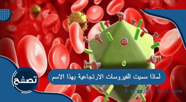 موقع تصفح