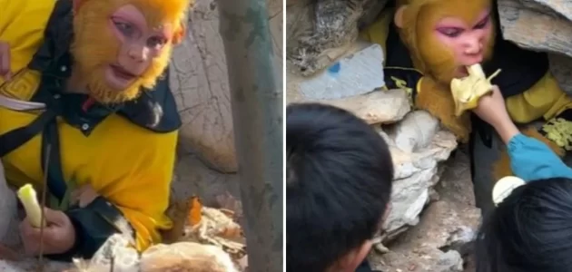 مقابل 842 دولارًا شهريًا.. شاهد وظيفة لتقمص شخصية الملك القرد في غابة صينية