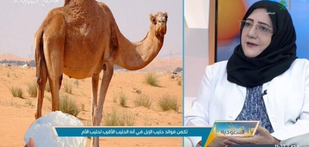هل حليب الإبل مفيد لمرضى السكري والقلب وهشاشة العظام؟.. أخصائية تجيب
